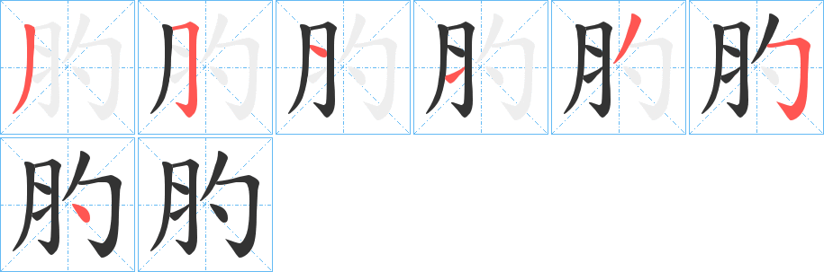 肑字的笔顺分布演示