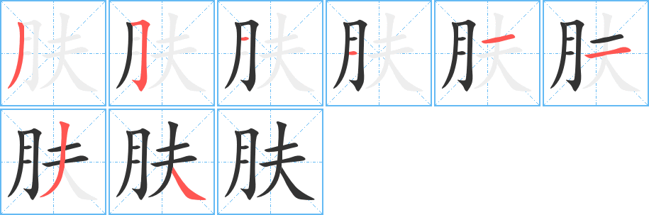 肤字的笔顺分布演示