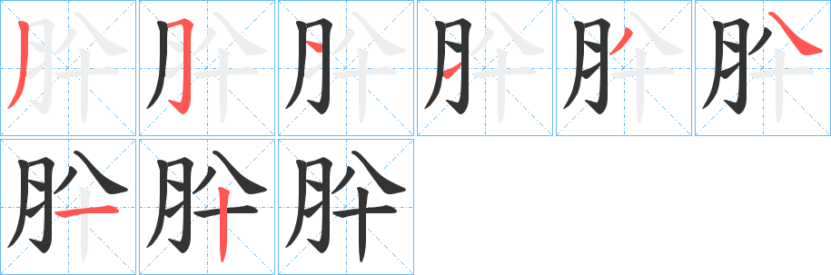 肸字的笔顺分布演示