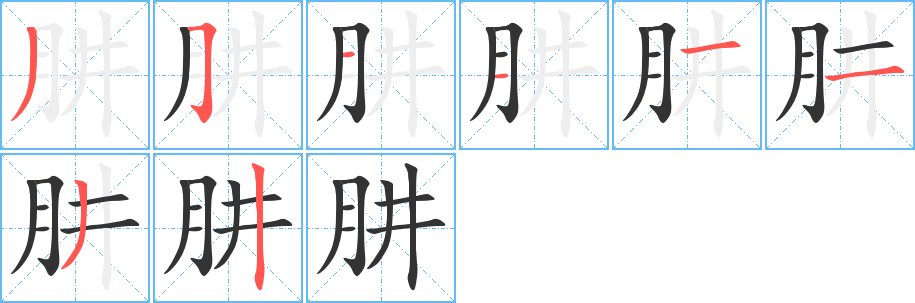 肼字的笔顺分布演示