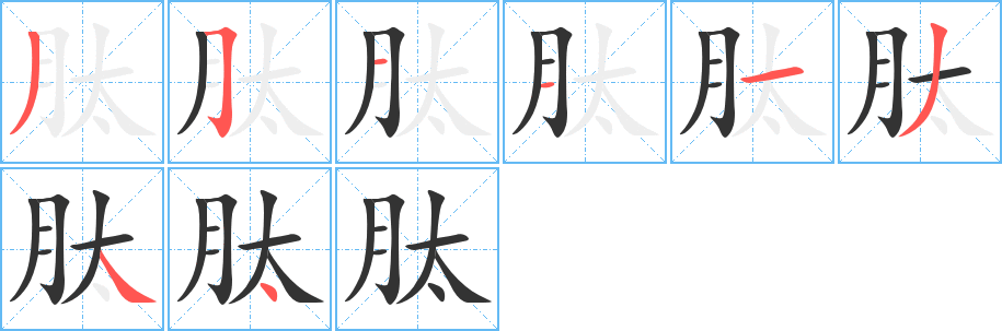 肽字的笔顺分布演示