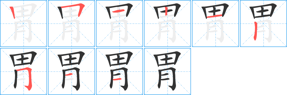 胃字的笔顺分布演示