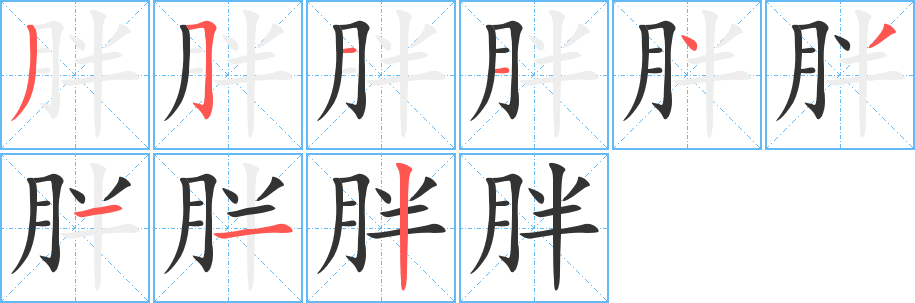 胖字的笔顺分布演示