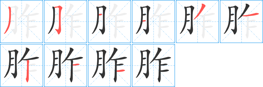 胙字的笔顺分布演示