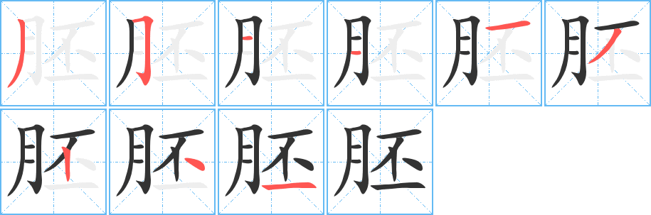 胚字的笔顺分布演示