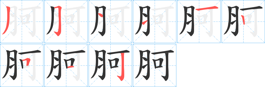 胢字的笔顺分布演示