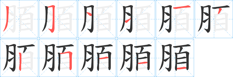 脜字的笔顺分布演示