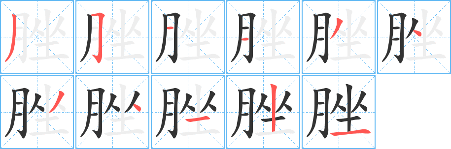 脞字的笔顺分布演示