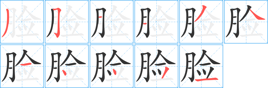 脸字的笔顺分布演示