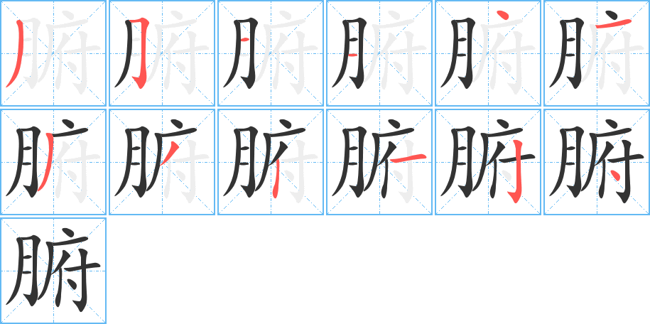 腑字的笔顺分布演示