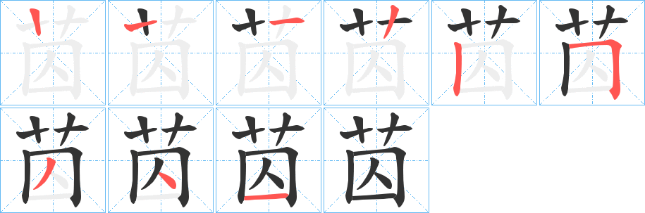 苬字的笔顺分布演示