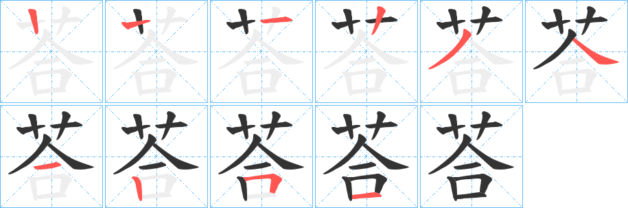 荅字的笔顺分布演示