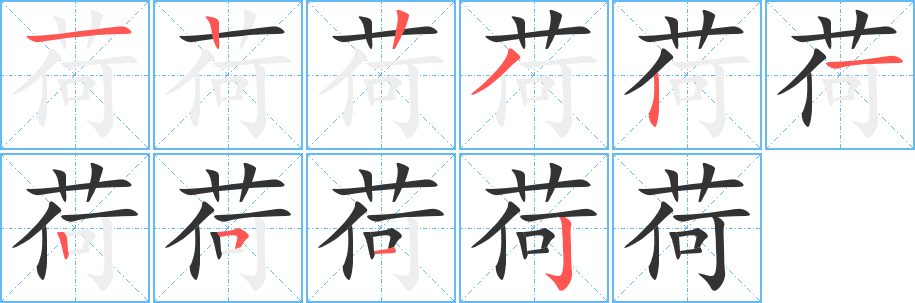 荷字的笔顺分布演示