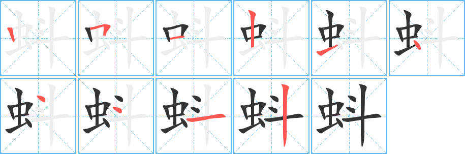 蚪字的笔顺分布演示