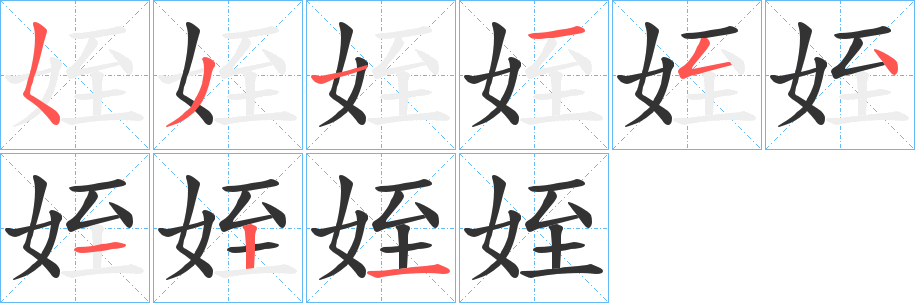 姪字的笔顺分布演示