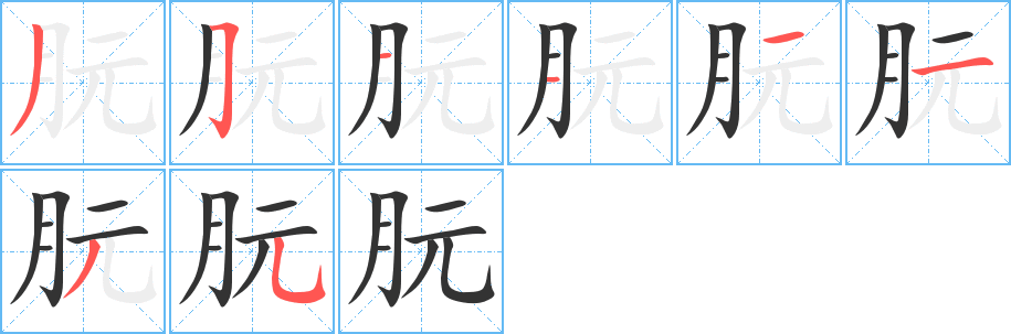 朊字的笔顺分布演示