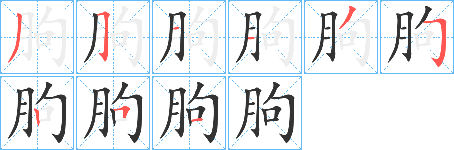 朐字的笔顺分布演示