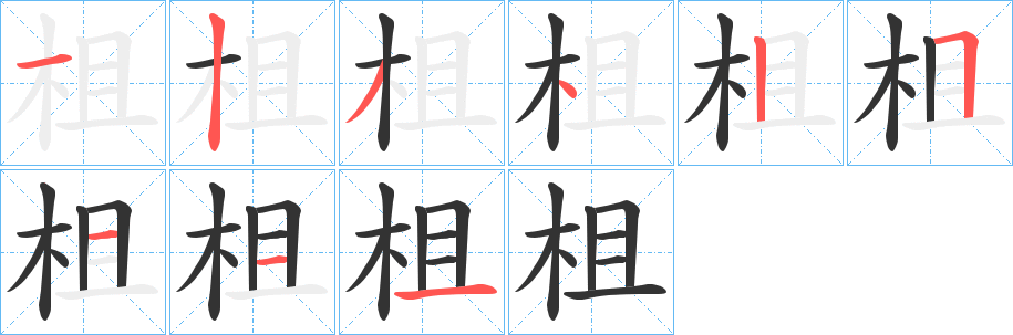 柤字的笔顺分布演示