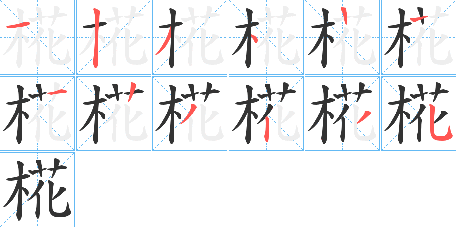 椛字的笔顺分布演示