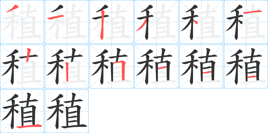 稙字的笔顺分布演示