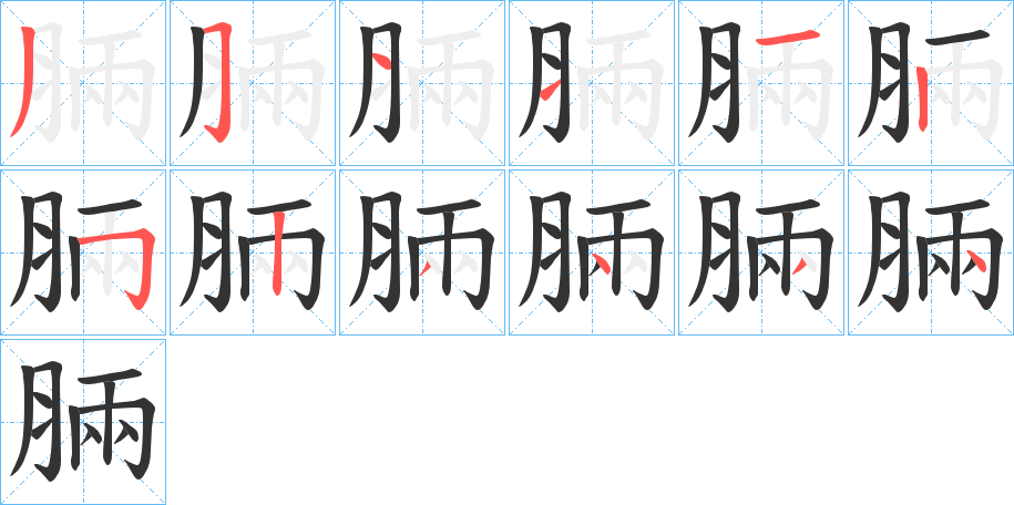 脼字的笔顺分布演示