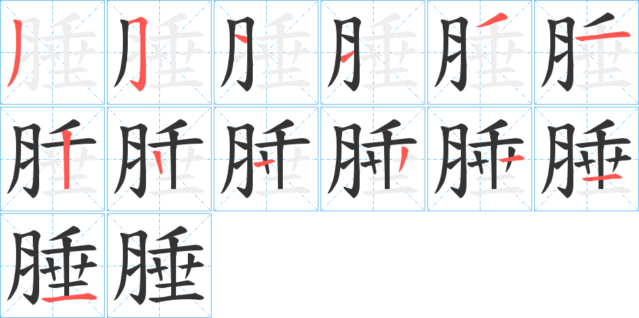 腄字的笔顺分布演示