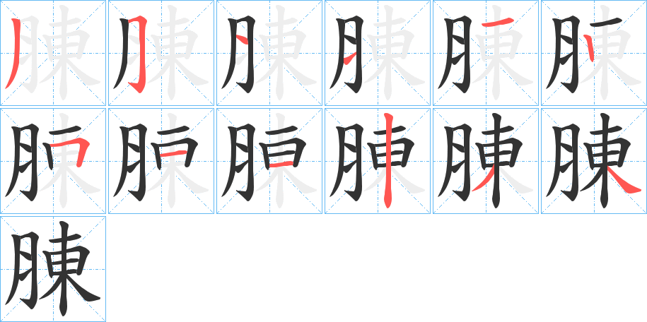 腖字的笔顺分布演示