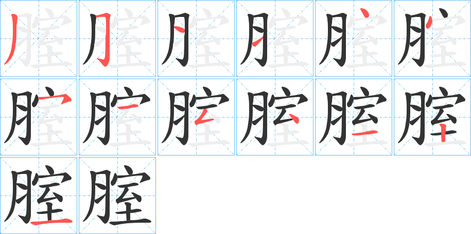 腟字的笔顺分布演示