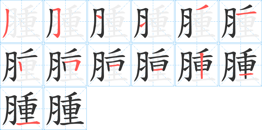 腫字的笔顺分布演示