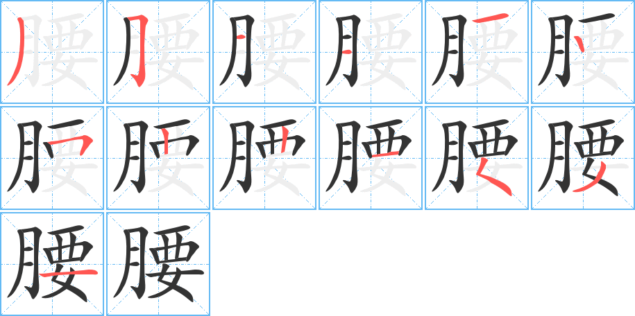 腰字的笔顺分布演示