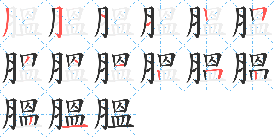 膃字的笔顺分布演示