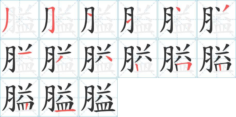 膉字的笔顺分布演示