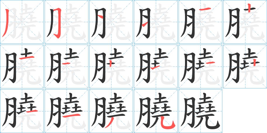 膮字的笔顺分布演示