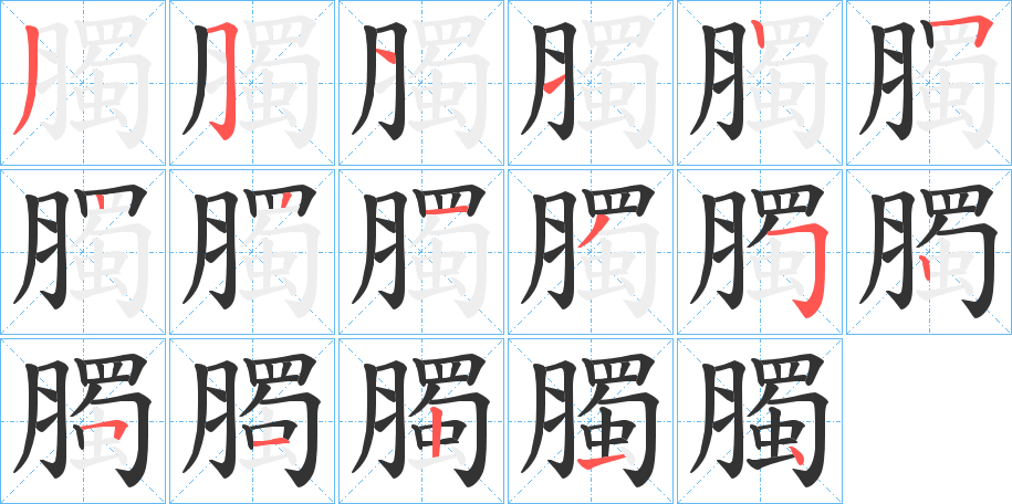 臅字的笔顺分布演示