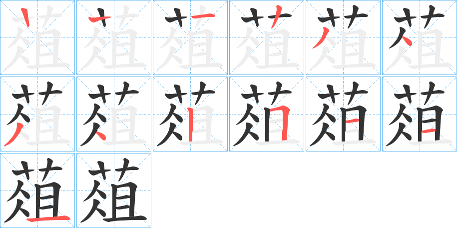 葅字的笔顺分布演示