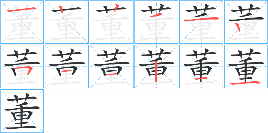 董字的笔顺分布演示