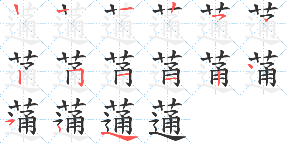 蓪字的笔顺分布演示