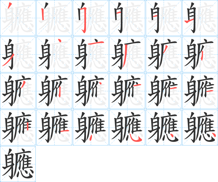 軈字的笔顺分布演示