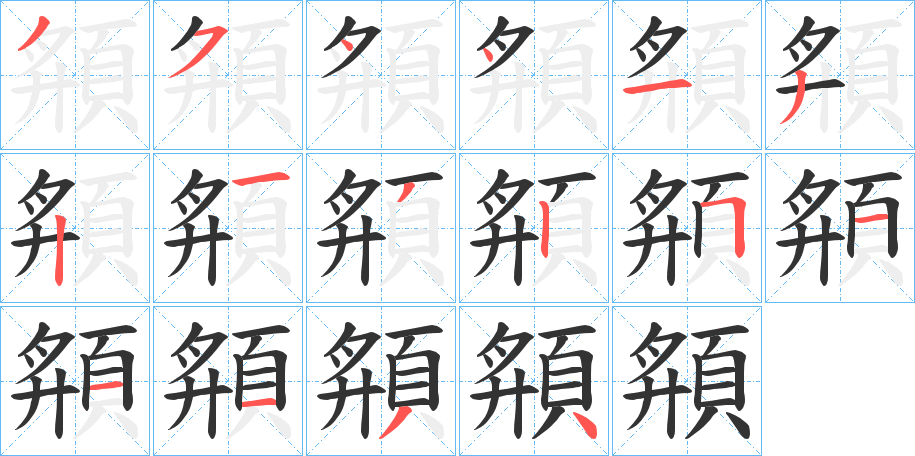 頯字的笔顺分布演示