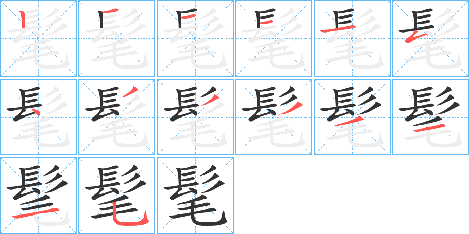 髦字的笔顺分布演示