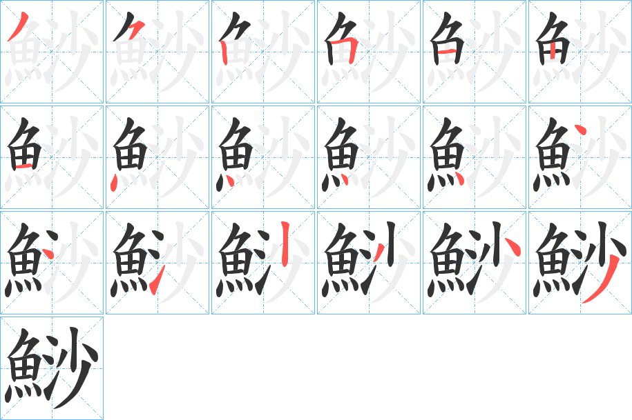 鯋字的笔顺分布演示