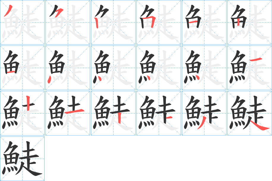 鯐字的笔顺分布演示