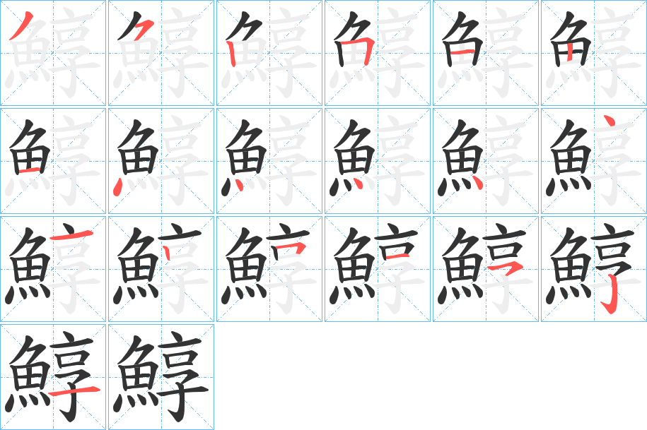 鯙字的笔顺分布演示