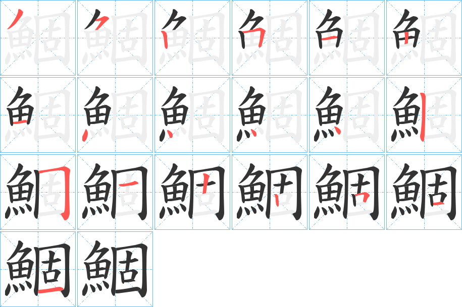 鯝字的笔顺分布演示