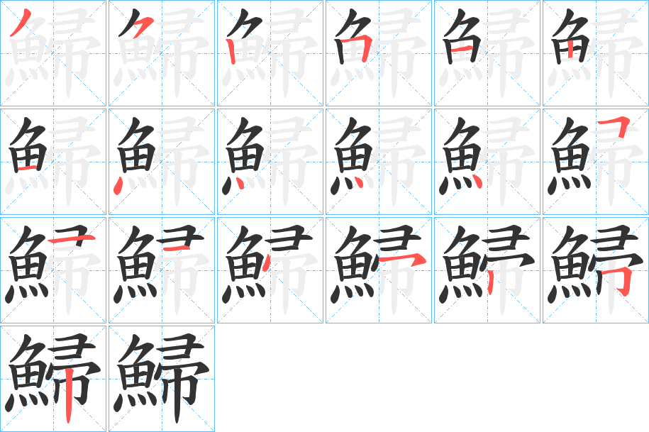 鯞字的笔顺分布演示