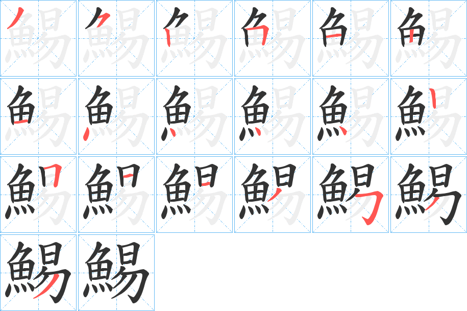 鯣字的笔顺分布演示