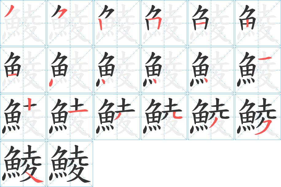 鯪字的笔顺分布演示