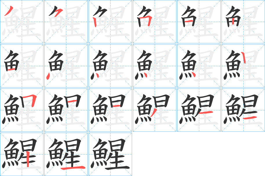 鯹字的笔顺分布演示