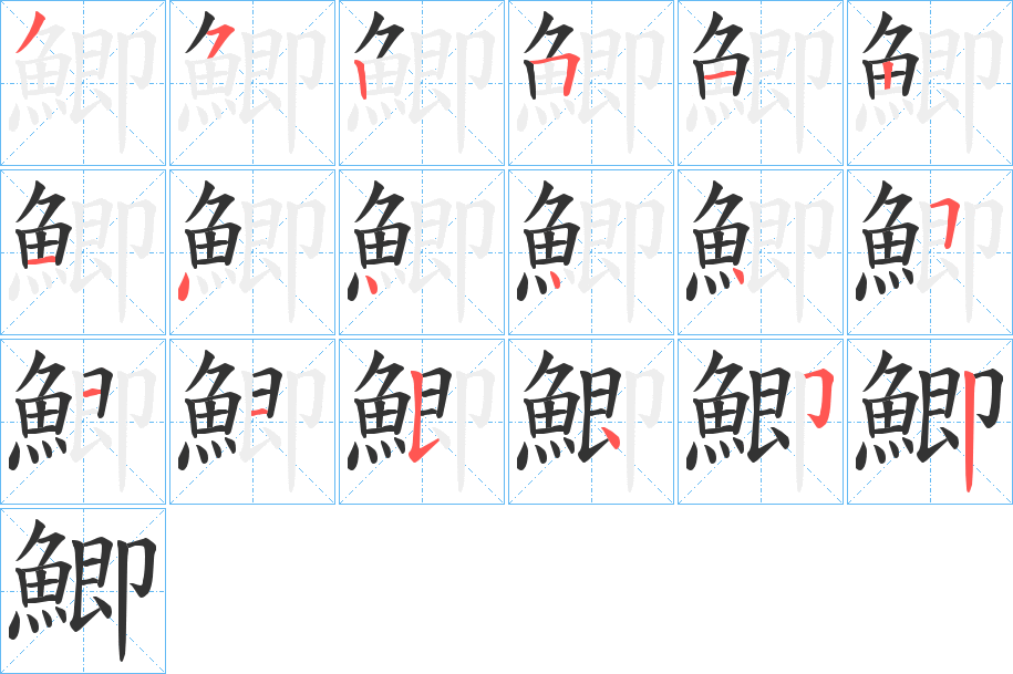 鯽字的笔顺分布演示