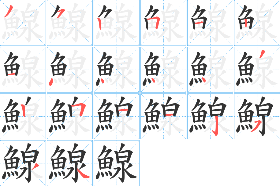 鰁字的笔顺分布演示